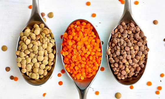 تقرير يكشف أهمية تناول العدس لتحسين التغذية صورة رقم 1
