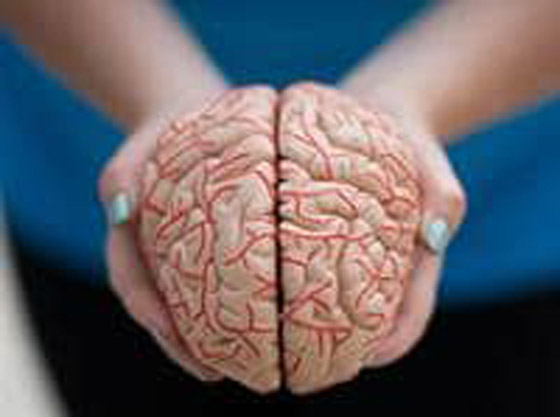 أمل لمرضى باركنسون.. مركب موجود في الفاكهة يحمي الدماغ صورة رقم 4