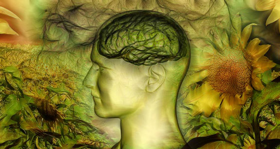 أمل لمرضى باركنسون.. مركب موجود في الفاكهة يحمي الدماغ صورة رقم 3