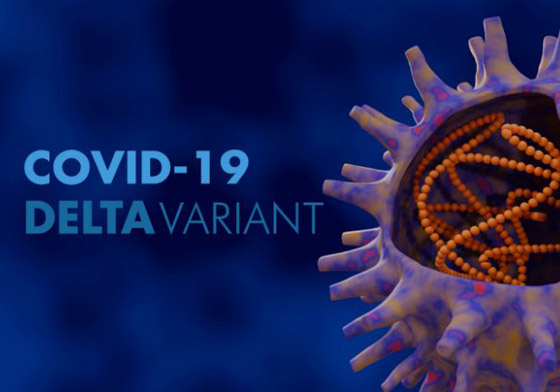 تحذير من خطورة متحور كورونا (دلتا).. ينتشر بسرعة ويقتل ثلث المصابين صورة رقم 3