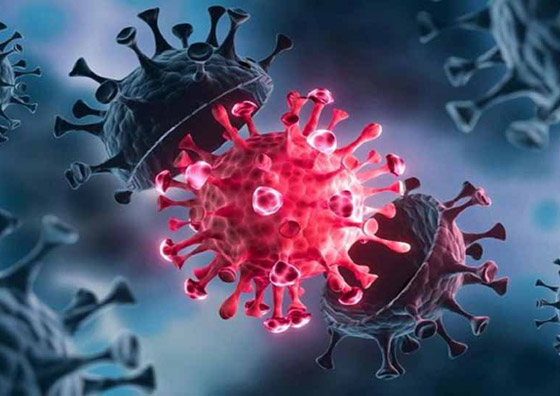 عالم روسي يصدم البشرية: الجسم يشيخ عاماً عن كل يوم إصابة بكورونا صورة رقم 4 عالم روسي يصدم البشرية: الجسم يشيخ عاماً عن كل يوم إصابة بكورونا صورة رقم 4