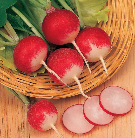 للحصول على أقصى فوائدها.. 17 عنصرا غذائيا وأطعمة يجب تناولها نيئة صورة رقم 5 للحصول على أقصى فوائدها.. 17 عنصرا غذائيا وأطعمة يجب تناولها نيئة صورة رقم 5