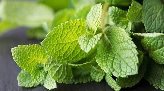 وداعاً للتصبغ.. مع تونر النعناع صورة رقم 6