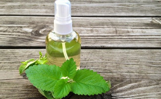 وداعاً للتصبغ.. مع تونر النعناع صورة رقم 3