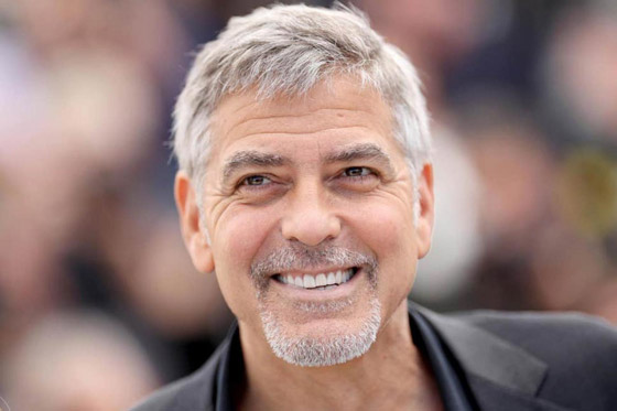 هل يسبب التوتر تحول لون الشعر إلى الرمادي؟ صورة رقم 3