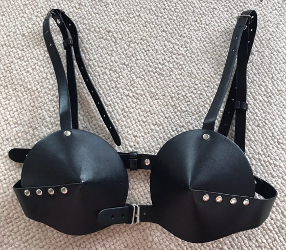 أسنان سوداء وأقنعة الطيور.. إليكم أغرب 10 اتجاهات للموضة عبر التاريخ صورة رقم 10