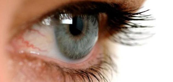 الاعتماد على الهواتف يضعف حواسنا ببطء صورة رقم 7