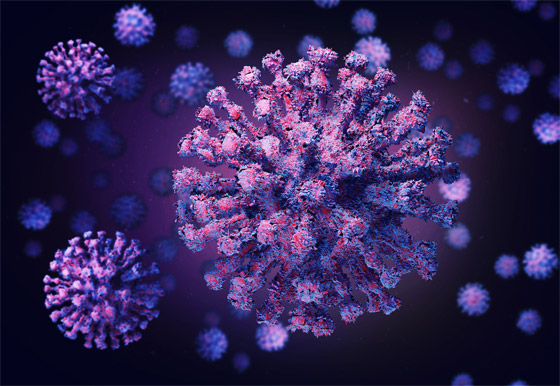 باق للأبد أم أنفلونزا عادية؟.. مصير فيروس كورونا مرهون بشرط! صورة رقم 8 باق للأبد أم أنفلونزا عادية؟.. مصير فيروس كورونا مرهون بشرط! صورة رقم 8