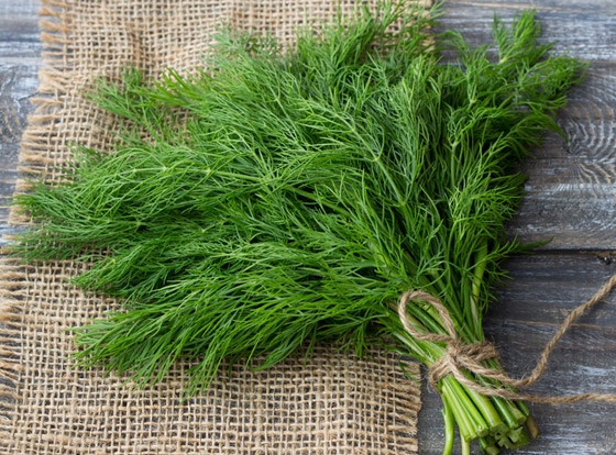 إليكم بدائل لذيذة وصحية تغنيكم عن استخدام الملح 