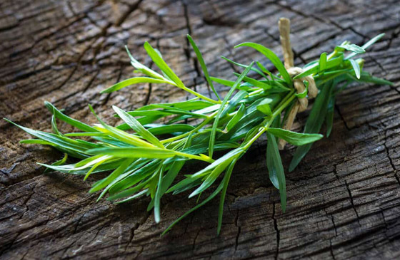 إليكم بدائل لذيذة وصحية تغنيكم عن استخدام الملح 