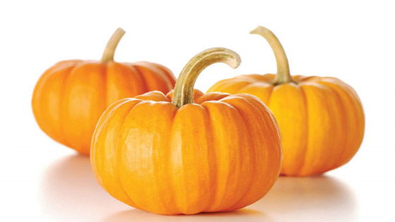 القرع العسلي .. كنز من المعادن والفيتامينات صورة رقم 8