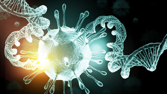 باق للأبد أم أنفلونزا عادية؟.. مصير فيروس كورونا مرهون بشرط! صورة رقم 2 باق للأبد أم أنفلونزا عادية؟.. مصير فيروس كورونا مرهون بشرط! صورة رقم 2