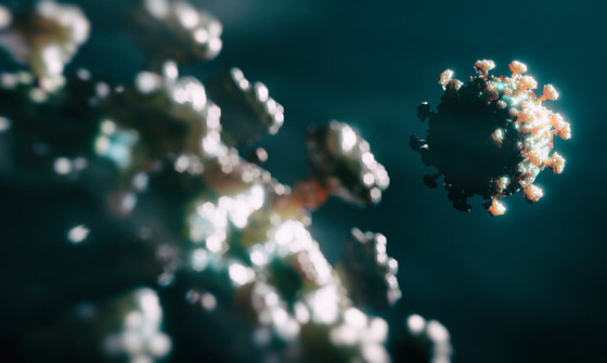 باق للأبد أم أنفلونزا عادية؟.. مصير فيروس كورونا مرهون بشرط! صورة رقم 4 باق للأبد أم أنفلونزا عادية؟.. مصير فيروس كورونا مرهون بشرط! صورة رقم 4