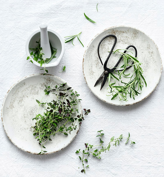 بالصور: تعرفوا إلى 10 زهور يمكنكم تناولها! صورة رقم 9