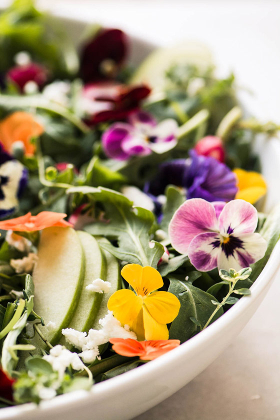 بالصور: تعرفوا إلى 10 زهور يمكنكم تناولها! صورة رقم 10