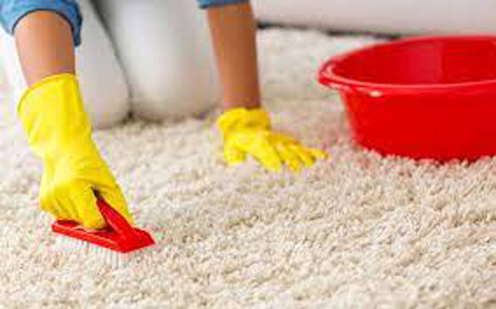 وصفات منزلية لتنظيف السجاد صورة رقم 6