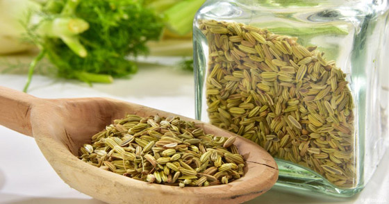 لهذه الأسباب يُنصح بتناول الحليب مع الشمر صورة رقم 5