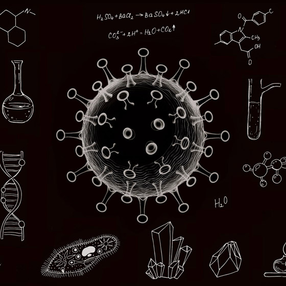 نصائح من الصحة العالمية للحفاظ على سلامة الطلاب والمعلمين بزمن كورونا صورة رقم 1