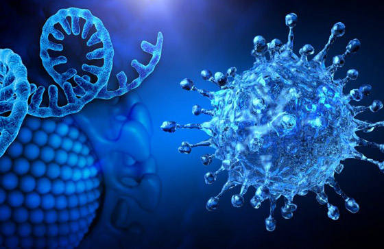 حان الوقت للاستعداد للجائحة القادمة.. تصريح صادم من الصحة العالمية صورة رقم 8