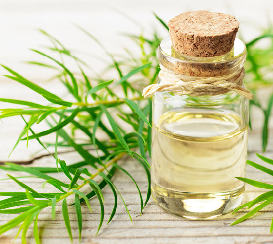 إليكم 7 خلطات منزلية لتطويل الأظافر وتقويتها وتبييضها صورة رقم 7