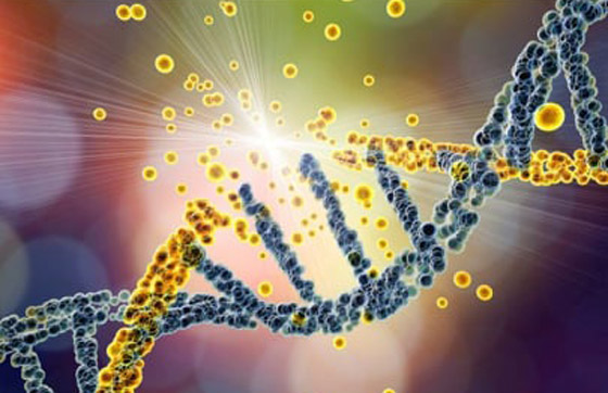 متلازمة زكي