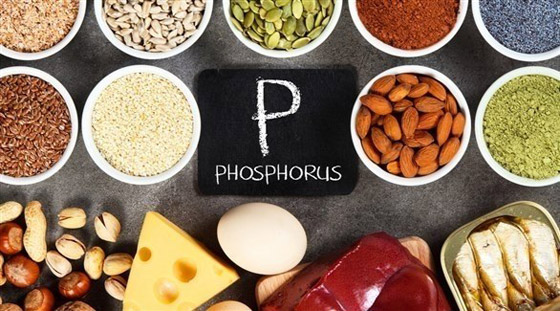 أعراض تنذر بنقص الفوسفور في الجسم صورة رقم 1