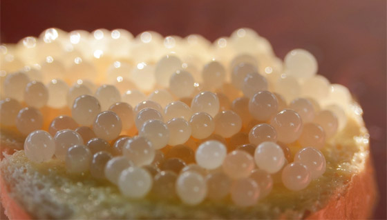 دجاج لامبورغيني وبطيخة سوداء.. تعرفوا إلى أغلى 9 أطعمة في العالم صورة رقم 1