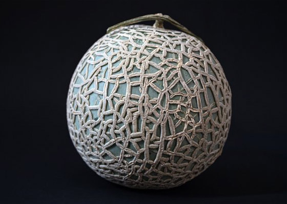 دجاج لامبورغيني وبطيخة سوداء.. تعرفوا إلى أغلى 9 أطعمة في العالم صورة رقم 3