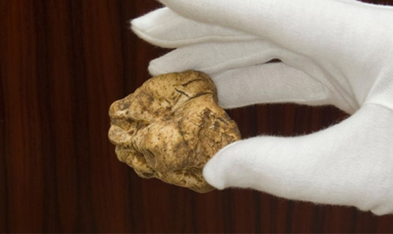 دجاج لامبورغيني وبطيخة سوداء.. تعرفوا إلى أغلى 9 أطعمة في العالم صورة رقم 7