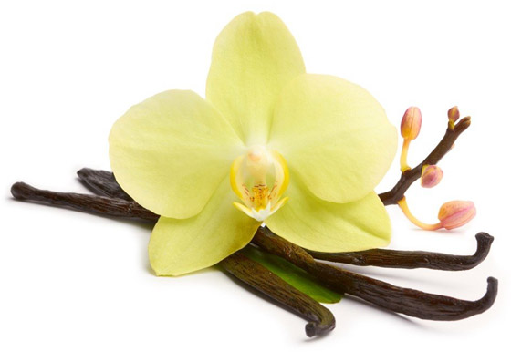 دجاج لامبورغيني وبطيخة سوداء.. تعرفوا إلى أغلى 9 أطعمة في العالم صورة رقم 8