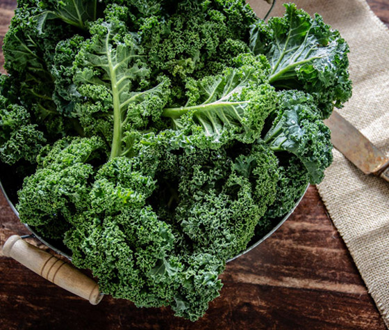 إليكم 17 خطأ يمنع نجاح الدايت وجهودكم المضنية لإنقاص وزنكم! صورة رقم 1