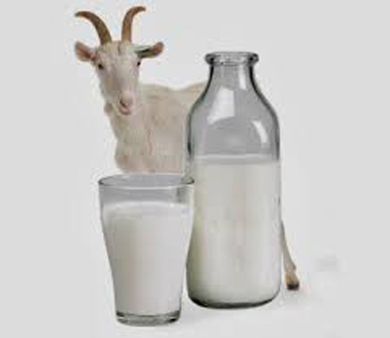 6 فوائد سحرية لحليب الماعز لحل مشاكل البشرة صورة رقم 5