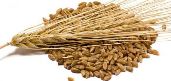 شاي الشعير.. وصفة كورية لتأخير ظهور التجاعيد صورة رقم 3