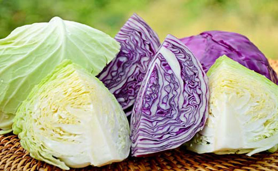 أسرار صحية عن الملفوف ستتفاجئون بها صورة رقم 3