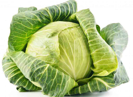 أسرار صحية عن الملفوف ستتفاجئون بها صورة رقم 7