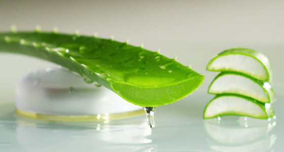 كيف أصبح جل الألوفيرا المكون التجميلي الأكثر شعبية عالميا؟ صورة رقم 5