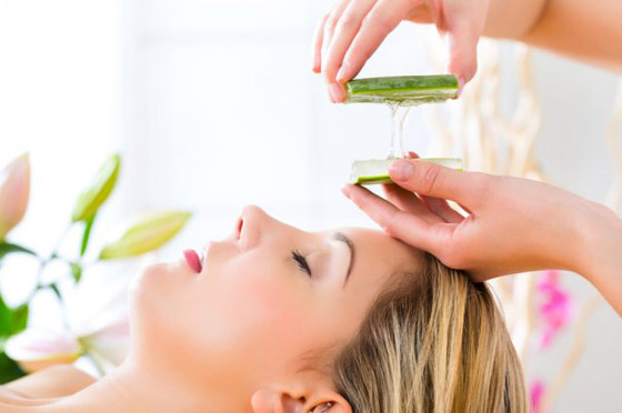 كيف أصبح جل الألوفيرا المكون التجميلي الأكثر شعبية عالميا؟ صورة رقم 6