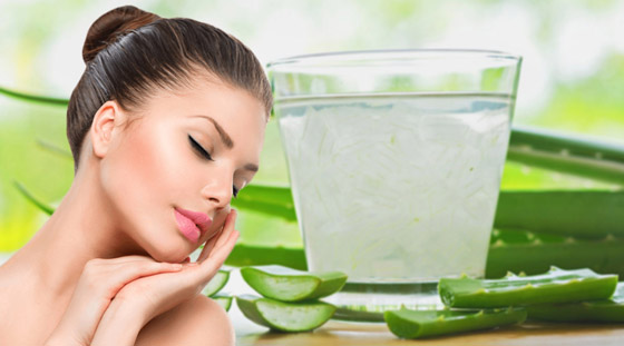 كيف أصبح جل الألوفيرا المكون التجميلي الأكثر شعبية عالميا؟ صورة رقم 7