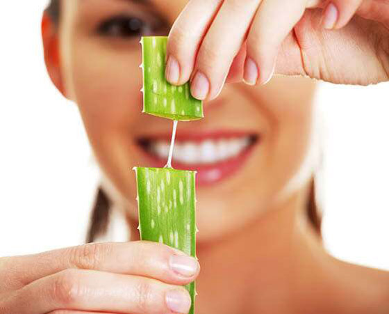كيف أصبح جل الألوفيرا المكون التجميلي الأكثر شعبية عالميا؟ صورة رقم 3
