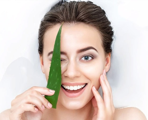 كيف أصبح جل الألوفيرا المكون التجميلي الأكثر شعبية عالميا؟ صورة رقم 9