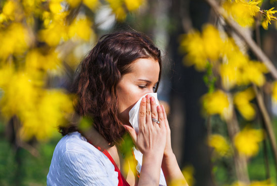 9 أنواع من أشهر النباتات ابتعدوا عنها إن كنتم تعانون من الحساسية صورة رقم 12