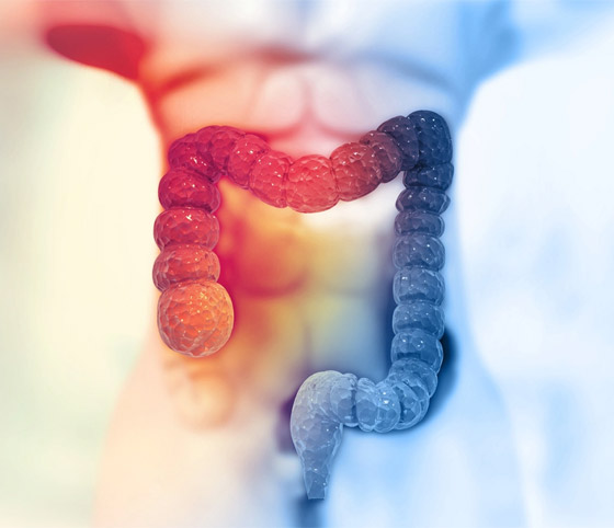 الجوع أو الهضم أم مشاكل بالمعدة.. إليكم 5 أسباب لأصوات البطن المزعجة صورة رقم 3