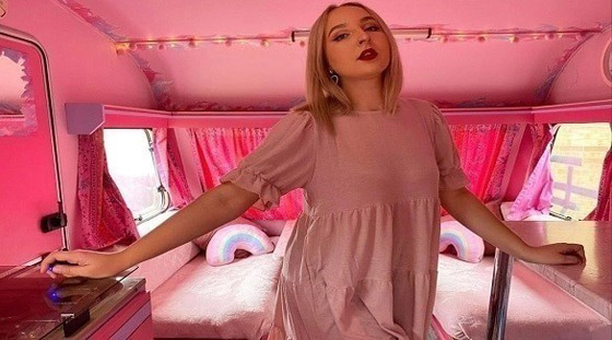 تحول كارافان قديم إلى قصر وردي بـ 400 دولار صورة رقم 6