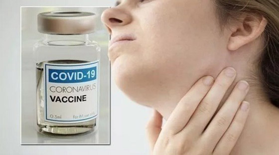 صور بالأشعة السينية تظهر الفرق بين الرئتين قبل وبعد اللقاح صورة رقم 5