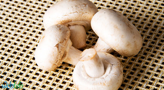 أطعمة مفيدة لصحة الجلد والشعر والأظافر صورة رقم 3