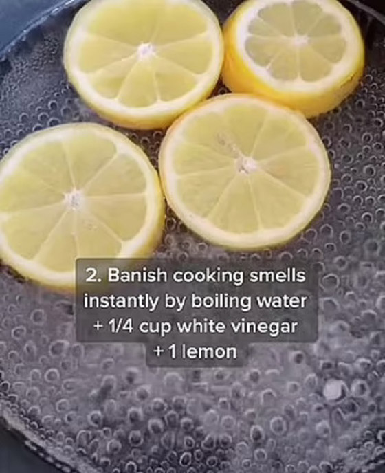 3 حيل للتخلص من الروائح الكريهة في المطبخ صورة رقم 3