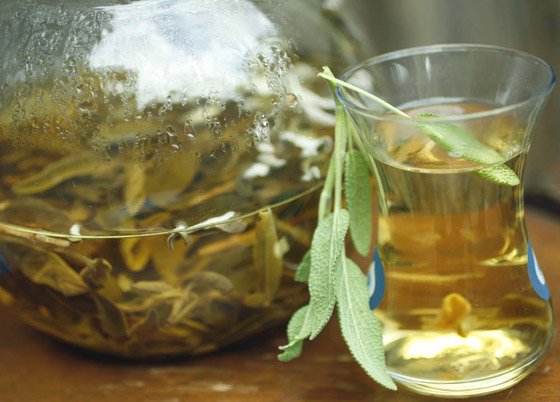 فوائد أعشاب الميرمية ستجعله إضافة يومية لكوب الشاي بل وحتى الطعام! صورة رقم 6