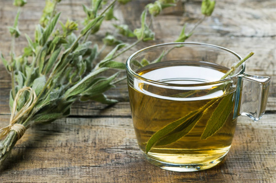 فوائد أعشاب الميرمية ستجعله إضافة يومية لكوب الشاي بل وحتى الطعام! صورة رقم 1