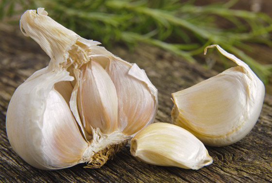 فصوص الثوم الصغيرة تحمل كنزا صحيا.. خاصة خلال فصل الشتاء صورة رقم 6 فصوص الثوم الصغيرة تحمل كنزا صحيا.. خاصة خلال فصل الشتاء صورة رقم 6