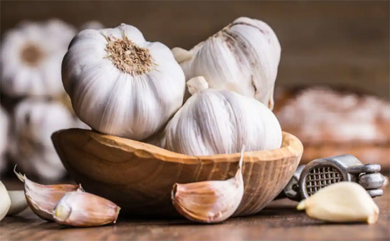 فصوص الثوم الصغيرة تحمل كنزا صحيا.. خاصة خلال فصل الشتاء صورة رقم 9 فصوص الثوم الصغيرة تحمل كنزا صحيا.. خاصة خلال فصل الشتاء صورة رقم 9